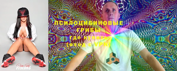 спиды Алзамай