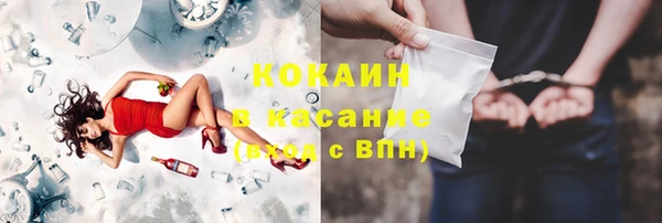 твердый Алексин