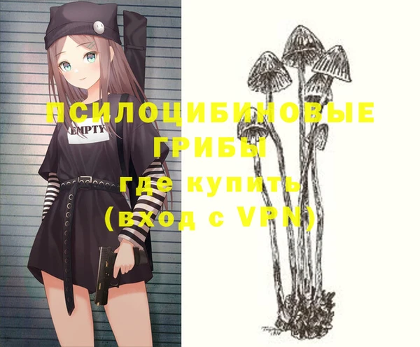 твердый Алексин