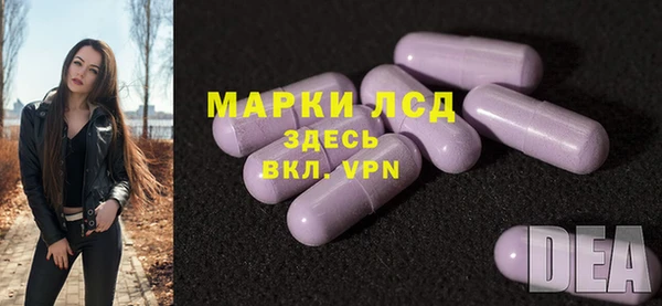 гашик Алексеевка