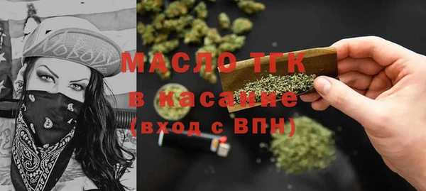 гашик Алексеевка