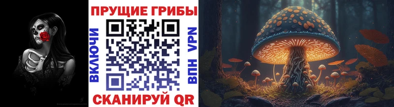 Псилоцибиновые грибы MAGIC MUSHROOMS  Троицк 